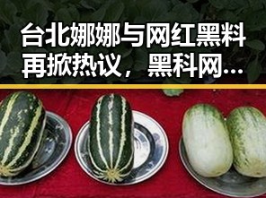台北娜娜与网红黑料再掀热议，黑科网大事记今日焦点